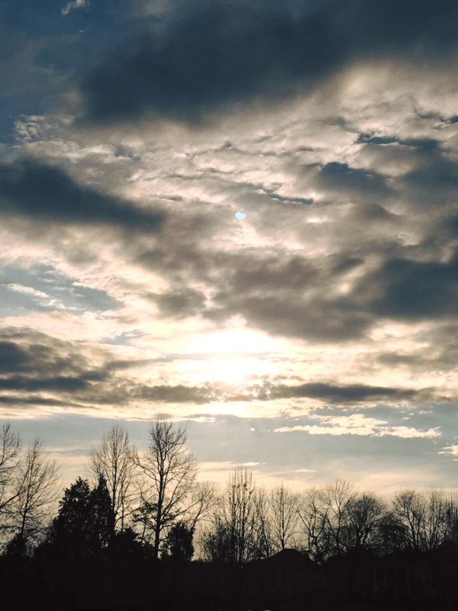 16114456_10154944564873594_5068036059611200142_n